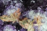 Thunder Bay Amethyst Cluster With Barite (Special Price) #62256-3